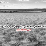 دانلود آهنگ بی دلیل میگیرم دستتو (میکس هوش مصنوعی) از شادمهر و محسن یگانه